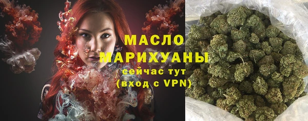 mdpv Краснослободск