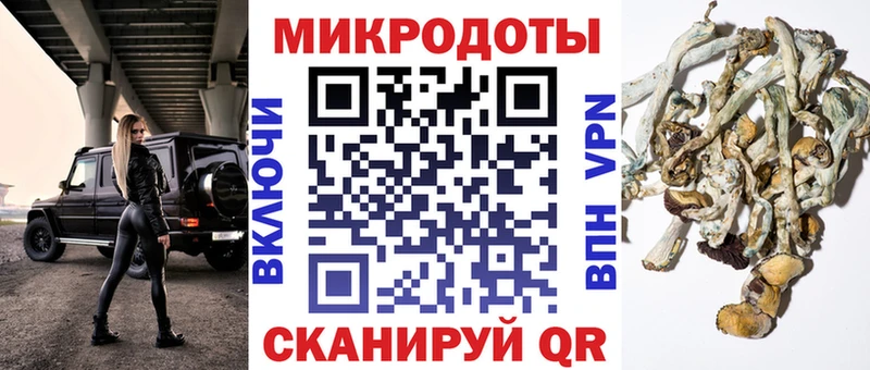 купить закладку  Шиханы  блэк спрут рабочий сайт  Галлюциногенные грибы мухоморы 